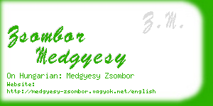 zsombor medgyesy business card